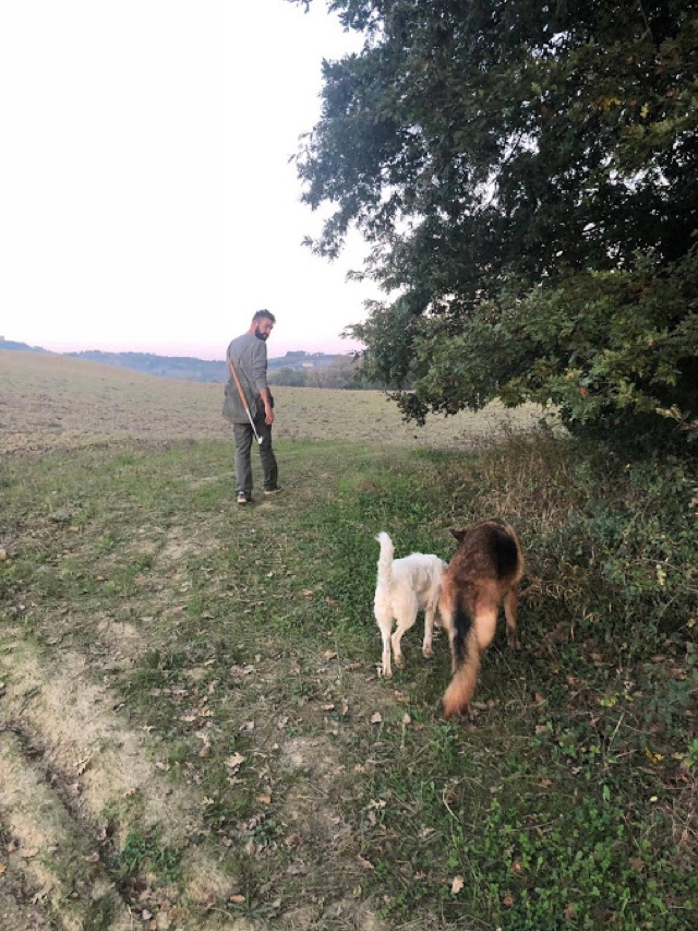 caccia al tartufo