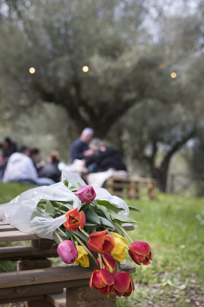 festa del tulipano