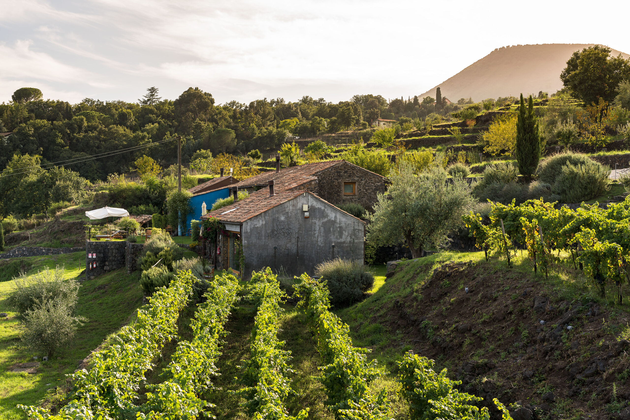 Pisano. Monaci delle Terre Nere