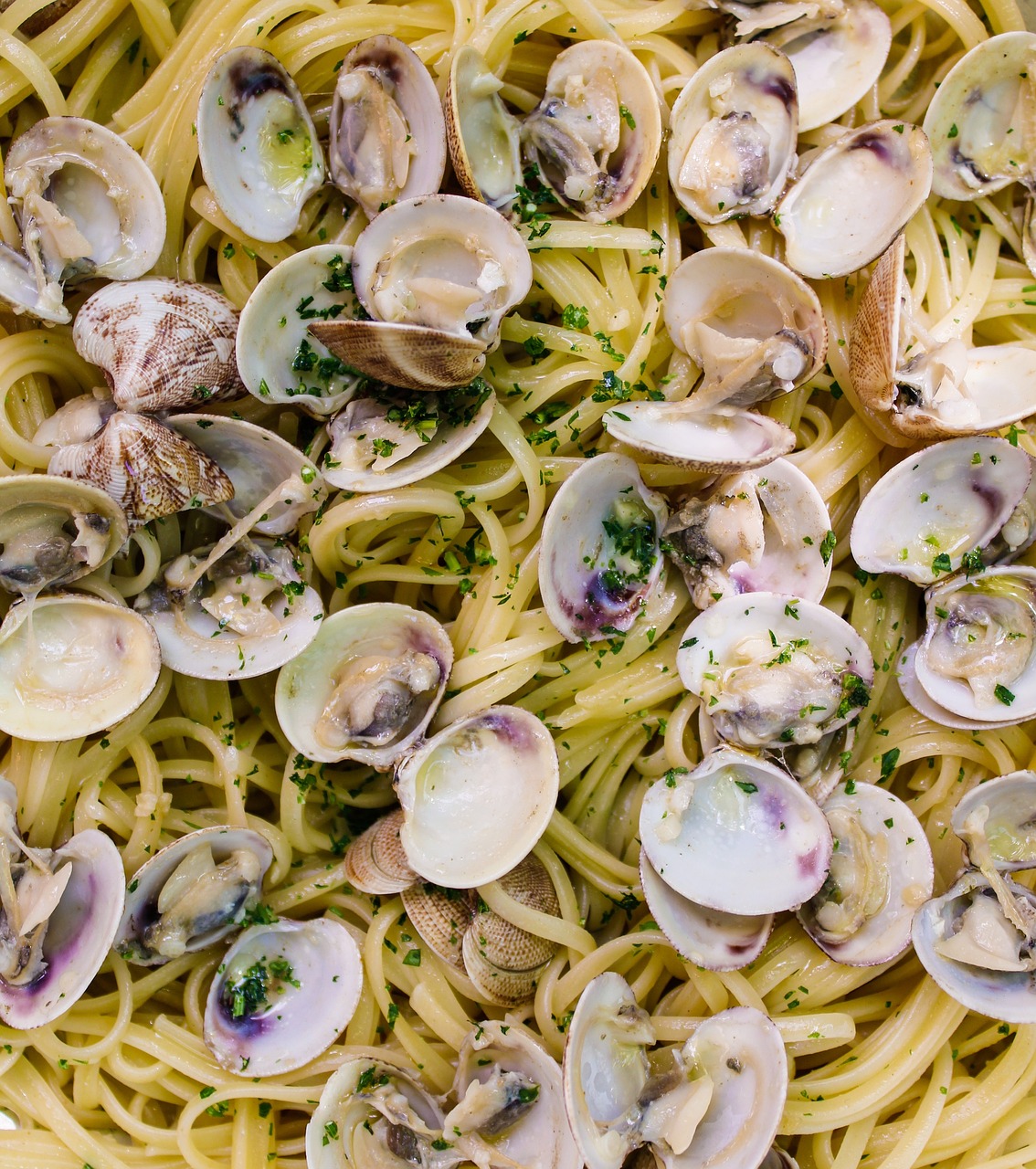 spaghetti vongole