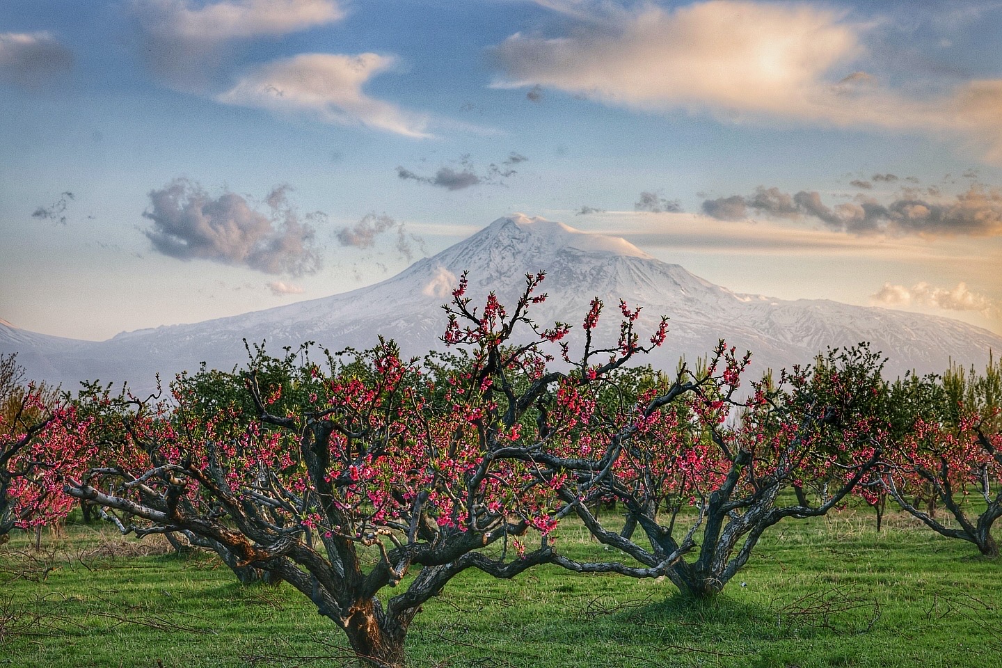 armenia fb
