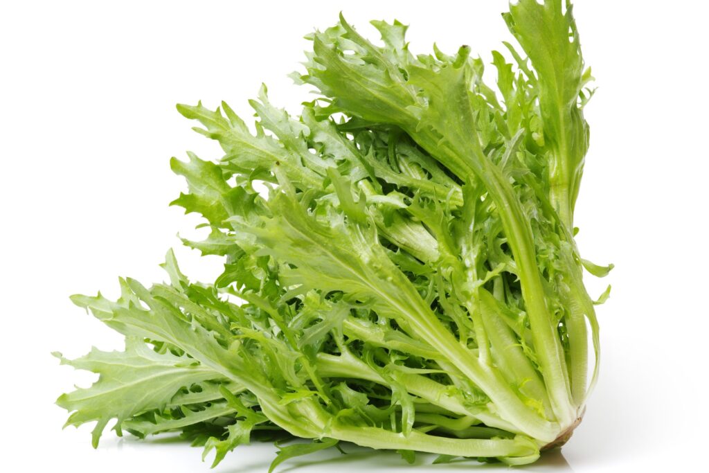 puntarelle romane tradizione laziale