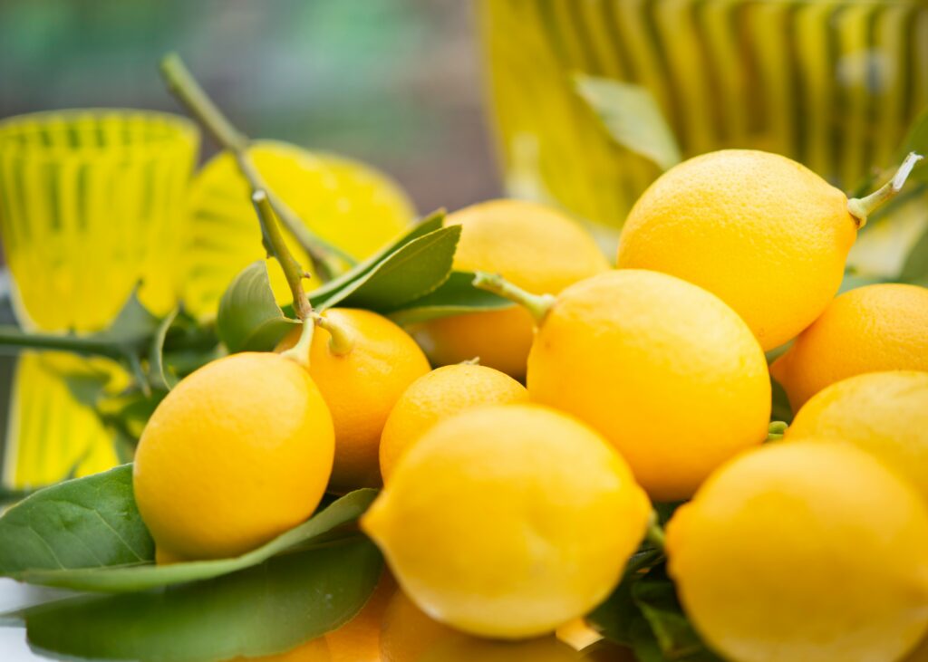 limoni e agrumi
