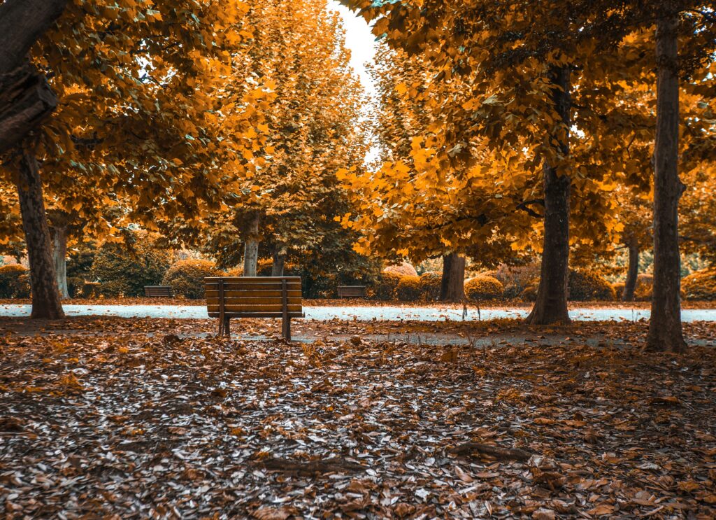 sagre d'autunno in Italia