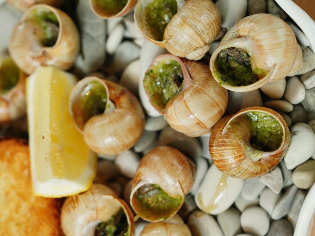 lumache gourmet