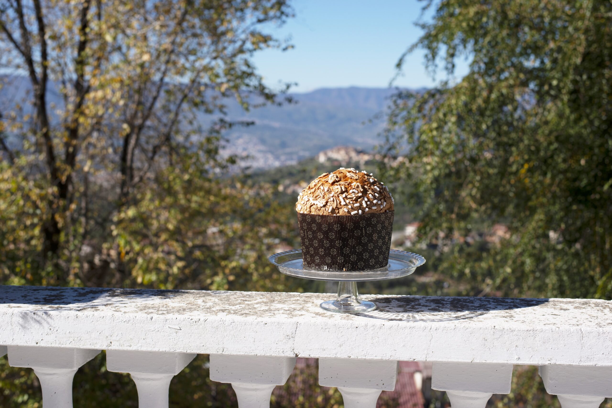 Panettone con vista