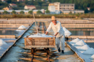 L’oro bianco dell’Adriatico: a Pirano torna la Festa dei Salinai