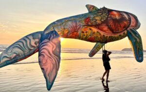 L’arte dipinge il cielo di Cervia, torna il Festival dell’Aquilone